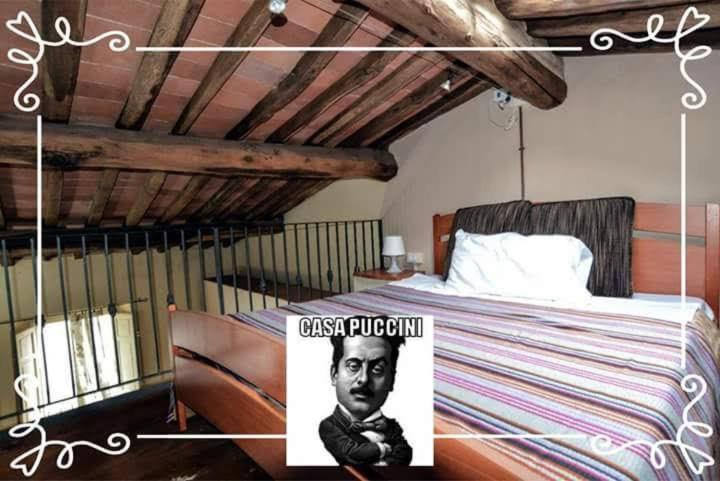 반니 디루카 Casolare Puccini 아파트 외부 사진