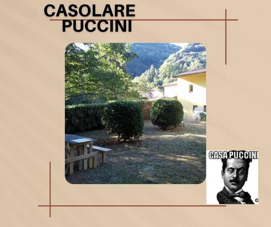반니 디루카 Casolare Puccini 아파트 외부 사진
