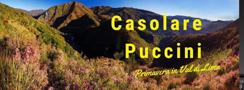 반니 디루카 Casolare Puccini 아파트 외부 사진